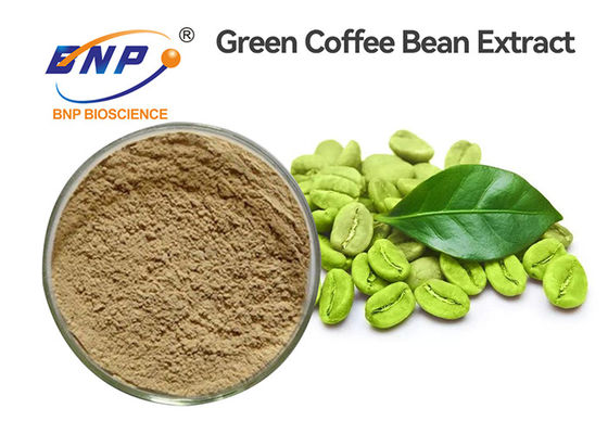 สารสกัดจากเมล็ดกาแฟเขียวกรดคลอโรจีนิก 50% เกรดอาหาร
