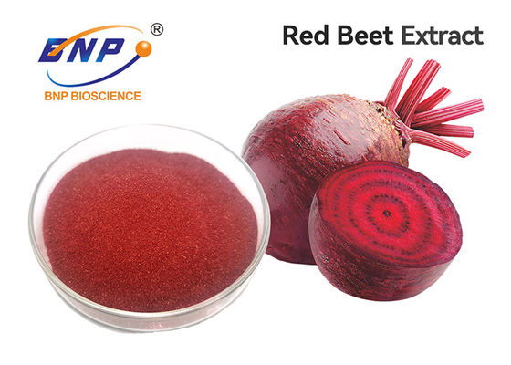 อาหารเสริมผงผลไม้และผักสีม่วงสารสกัดจากรากบีทรูทสีแดงธรรมชาติ 100%