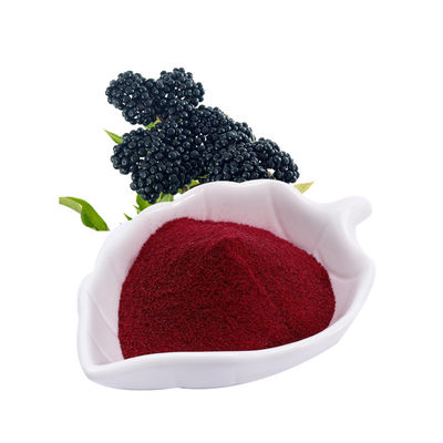 Elderberry Extract Anthocyanidins 25% เกรดอาหาร