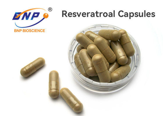 อาหารเสริม OEM ธรรมชาติ 100% 100 มก. Resveratrol Capsules