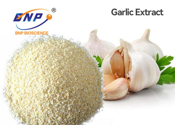 ยาปฏิชีวนะ Allium Sativum Bulb Extract 5% Allicin Fine Powder