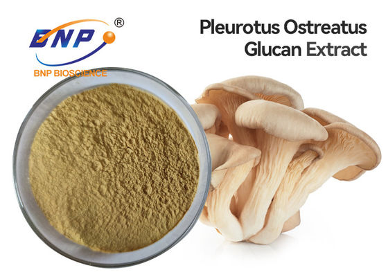 Pleurotus Ostreatus Oyster Mushroom Extract อาหารเสริม Polysaccharide 10%