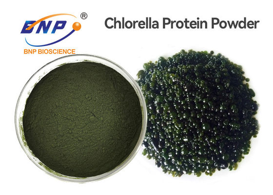 สารสกัดจากพืชธรรมชาติเกรด GMP Chlorella Vulgaris Powder