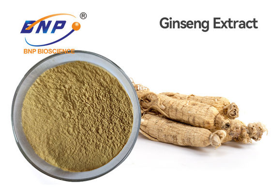 Panax Ginseng Ca Meyer สารสกัดจากพืชธรรมชาติ Ginsenoside 5%