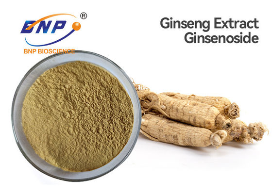 Ginsenoside 80% สารสกัดจากพืชธรรมชาติสารสกัดจากโสมสีน้ำตาล