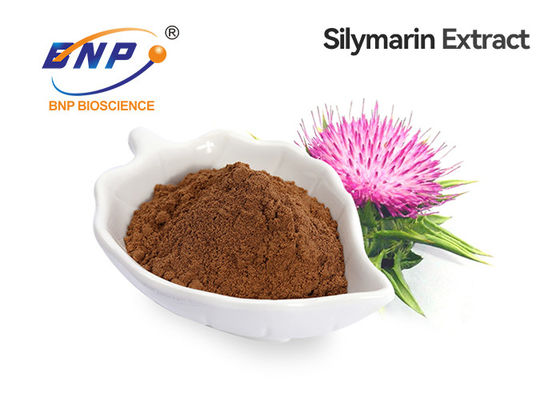 HPLC 30% Silymarin Milk Thistle Extract เมล็ด Silybum Marianum