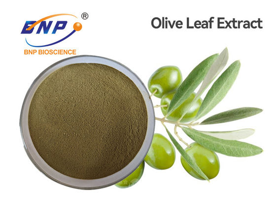HPLC สารสกัดจากพืชธรรมชาติสีน้ำตาลเหลือง Oleuropein 60% Olive Leaf Extract Powder