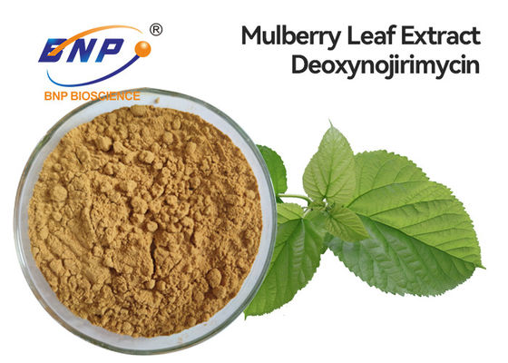 อาหารเสริมเพื่อสุขภาพ Natural 5% DNJ Mulberry Leaf Extract Deoxynojirimycin