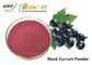 ผงน้ำผลไม้แบล็คเคอแรนท์สีม่วงแดงเกรดอาหาร Ribes Nigrum Fruit Extract
