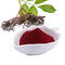 Elderberry Extract Anthocyanidins 25% เกรดอาหาร