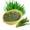 อาหารเสริมผงผักผลไม้สีเขียว Triticum Aestivum ผงน้ำหญ้าข้าวบาร์เลย์