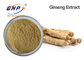 Panax Ginseng Ca Meyer สารสกัดจากพืชธรรมชาติ Ginsenoside 5%