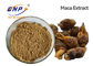 Lepidium Meyenii สารสกัดจากพืชธรรมชาติสีน้ำตาลอ่อนอินทรีย์ Maca Root Powder
