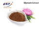 HPLC 30% Silymarin Milk Thistle Extract เมล็ด Silybum Marianum
