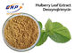 อาหารเสริมเพื่อสุขภาพ Natural 5% DNJ Mulberry Leaf Extract Deoxynojirimycin