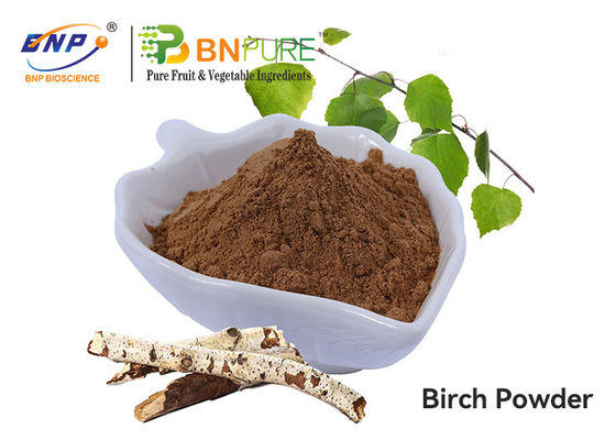 Pure Natrual Birch Bark Betulin Extract สารสกัดจากเปลือกต้นเบิร์ช