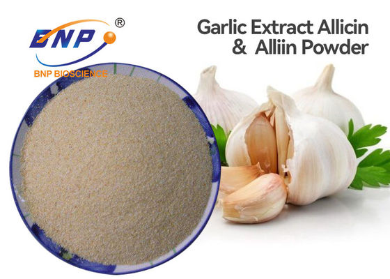 ยาปฏิชีวนะเกรดอาหาร Allium Sativum Extract ผงสีขาว BNP Brand