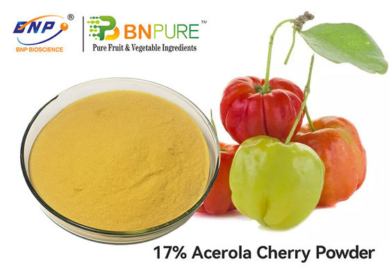 GMP Acerola Cherry Extract Powder วิตามินซี 5%