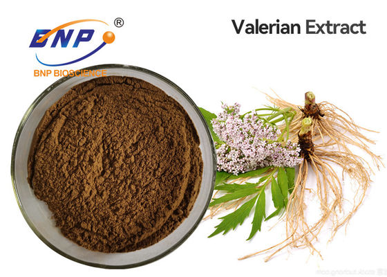โรงงานซัพพลาย 100% Natural Valeric Acid Valerian Extract