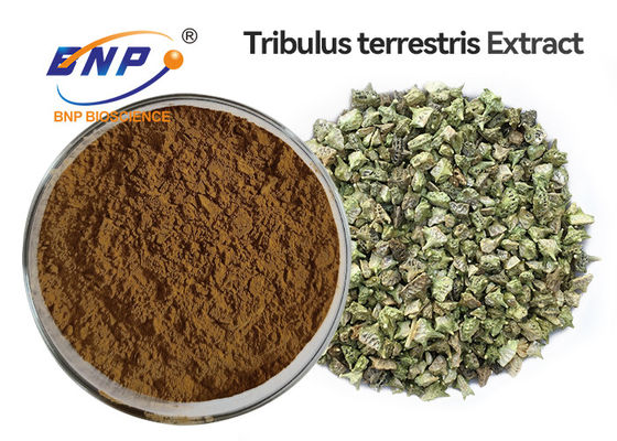 95% Tribulus Saponins Tribulus Terrestris สารสกัดจากผง