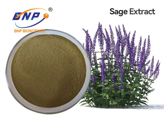 ผู้ผลิตซัพพลาย Sage Extract ผง Clary Sage Extract