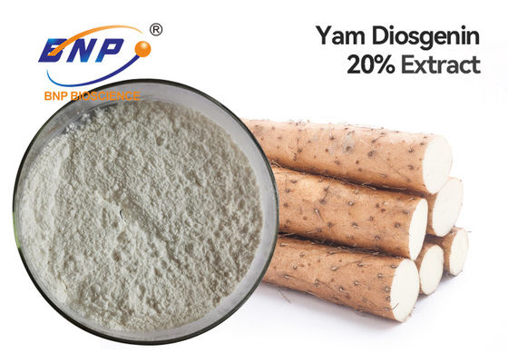 Diosgenin สารสกัดจากพืชธรรมชาติ 6% นมผงสีขาว Wild Yam Root