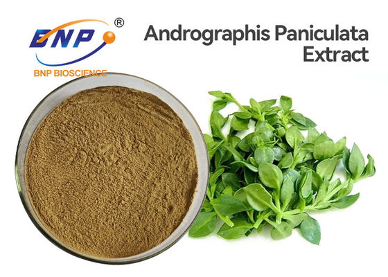 ผงสกัดแอนโดรกราฟิส Paniculata ต้านไวรัส 50% Andrographolide HPLC