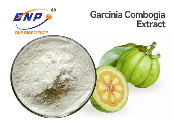 สารสกัดจากพืชธรรมชาติผงละเอียดสีขาวกรดไฮดรอกซีซิตริก 50% 60% สารสกัดจากส้มแขก Cambogia