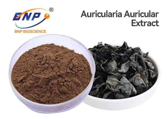 ผงสารสกัดจากเห็ดธรรมชาติ 100% หูของยิว Auricularia Auricula