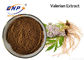 โรงงานซัพพลาย 100% Natural Valeric Acid Valerian Extract