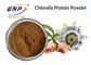 Flavonoid 2% Passiflora Incarnata Flower Extract สำหรับ Sleep Fine Powder