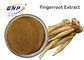 Flavone 5% สารสกัดจากพืชธรรมชาติ Finger Root Brown Yellow Powder