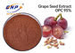 HPLC Grape Skin Extract Powder โพลีฟีนอล 70% Sambucus Nigra L.
