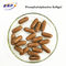 PS Phosphatidylserine อาหารเสริมสีน้ำตาล 750 มก. แคปซูลซอฟเจล