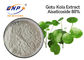 Asiaticoside 80% Centella Asiatica Extract สำหรับผิว White Gotu Kola Extract Powder