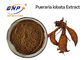 สารสกัดจากพืชธรรมชาติราก Kudzu Isoflavones 40% สีน้ำตาลเหลือง Pueraria Lobata Powder