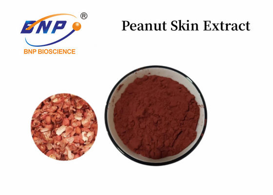 สารสกัดจากผิวถั่วลิสง 95% Proanthocyanidins ในด้านเภสัชกรรม